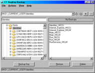 RegKey Backup screenshot